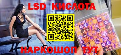 крисы Шебекино