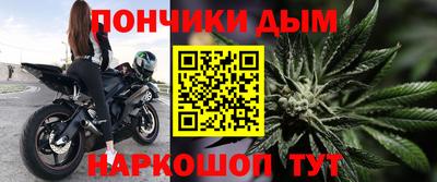 крисы Шебекино