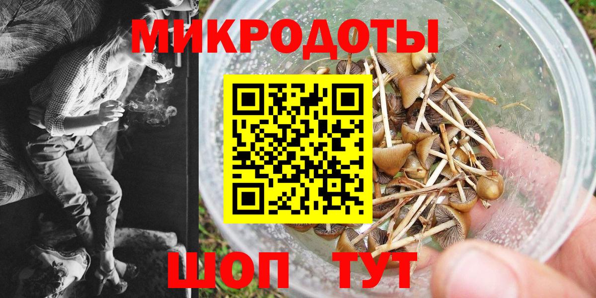Галлюциногенные грибы мицелий  Вход с VPN  Псилоцибиновые грибы прущие грибы  Ефремов 